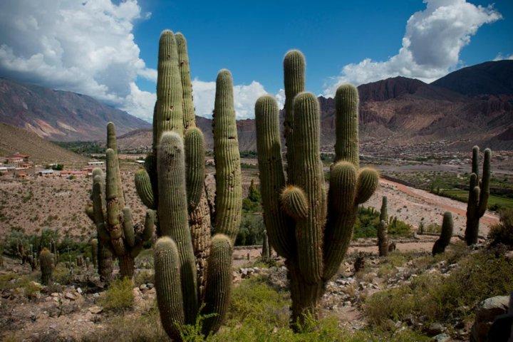Day Trip Discover Humahuaca Valley from Salta