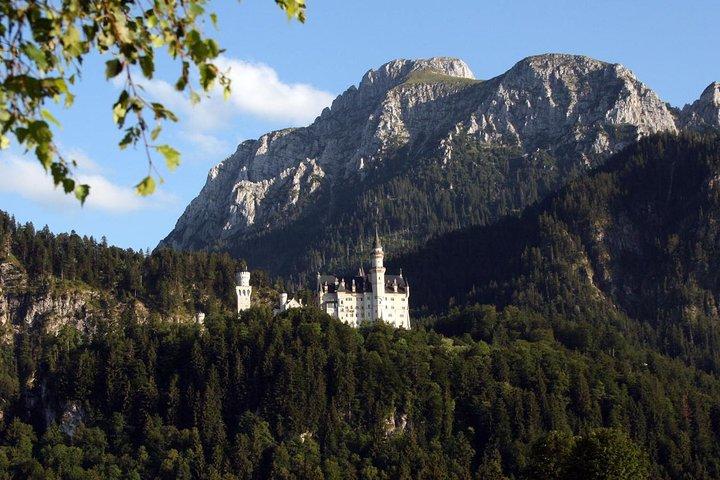 Excursão privada de meio dia de Munique ao Castelo de Neuschwanstein