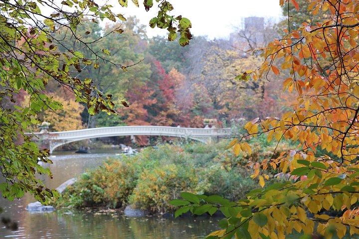 NYC Central Park hestevognstur (op til 4 voksne)