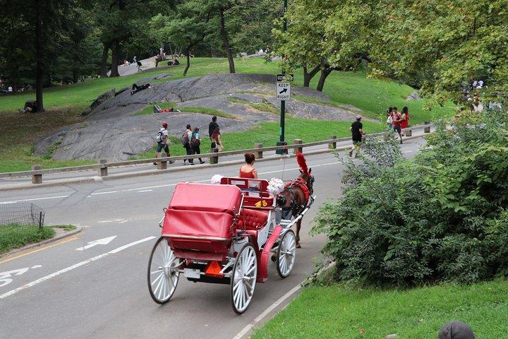 NYC Central Park hestevognstur (op til 4 voksne)