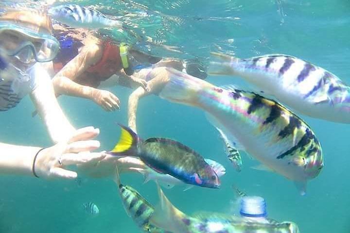 Visita guiada privada a Lempuyang Blue Lagoon Snorkeling East Bali