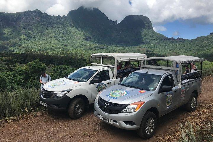 Tour Privé Matin Moorea 4WD avec Champagne