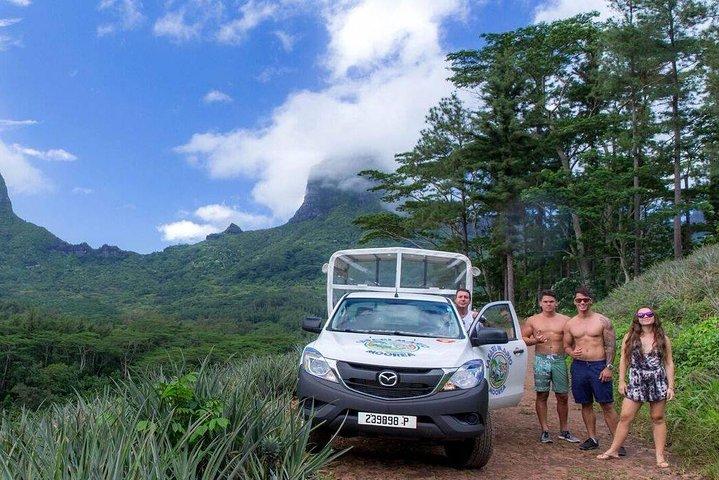 Moorea 4WD Tour Inc. ベルヴェデーレ、パイナップル ファーム、マジック マウンテン...