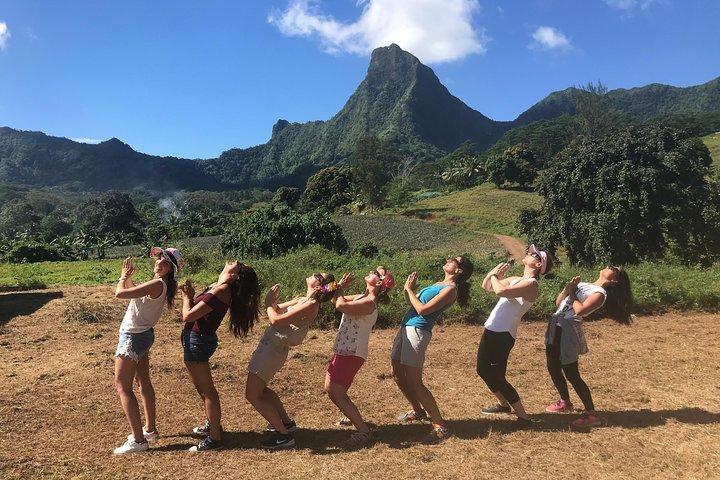 Moorea 4WD Tour Inc. Belvedere, Pineapple Farm, Magic Mountains...