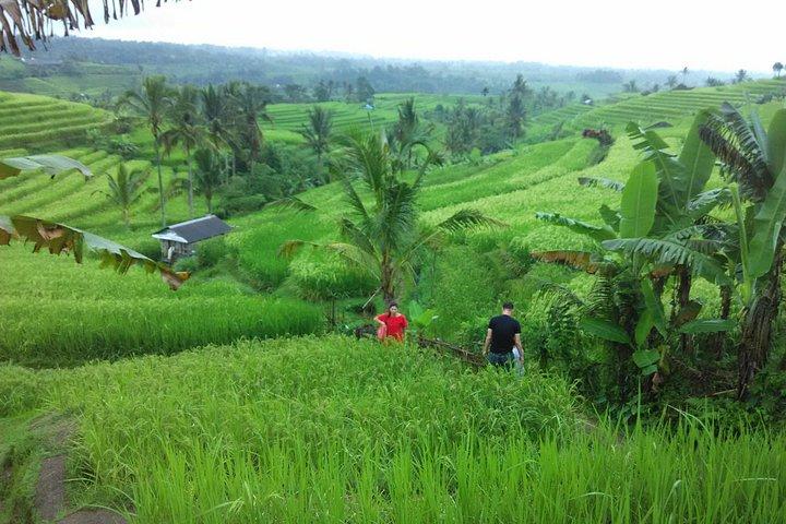 Bali Quad ATV with Ubud Halfday Tour