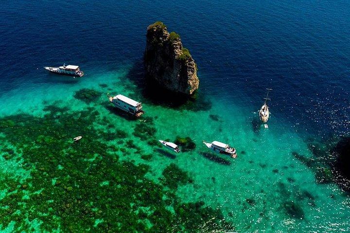 PADI Discover Scuba Diving Experience Full Day Trip