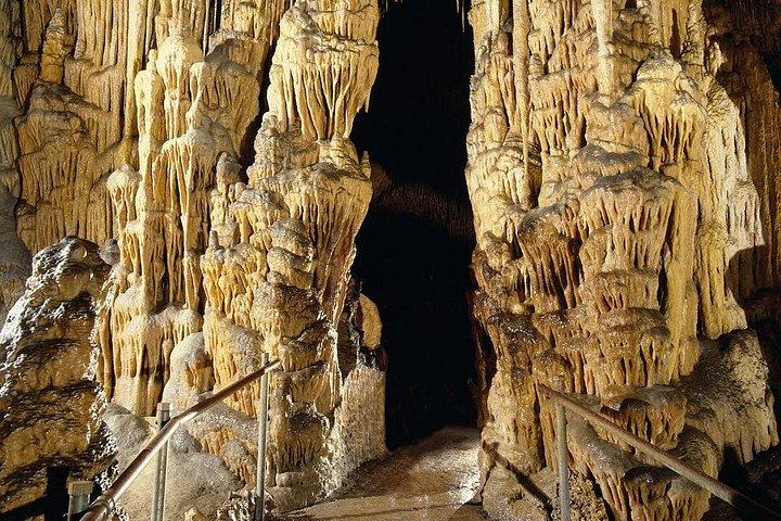 マヨルカを探索する: マジョリカ パール ショップとドラシュの洞窟