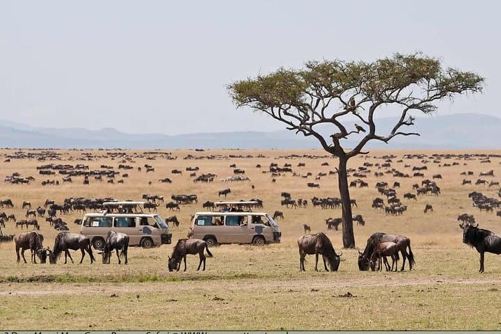 12-Days Best of Kenya and Tanzania Wildlife Private Safari