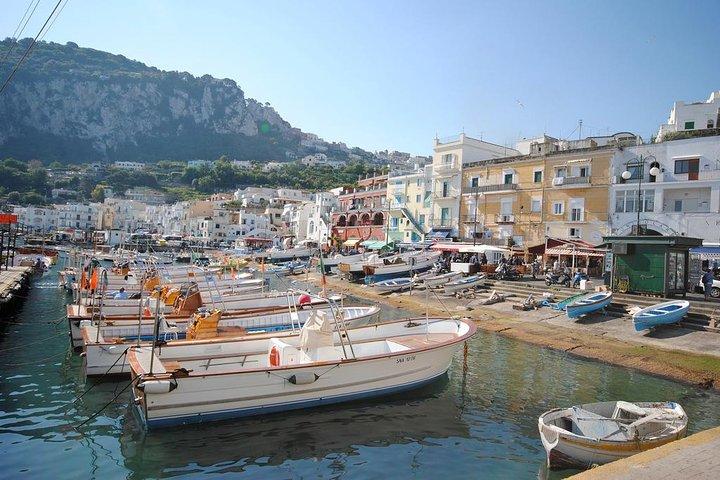 Excursion d'une journée à Capri au départ de Rome avec chauffeur privé