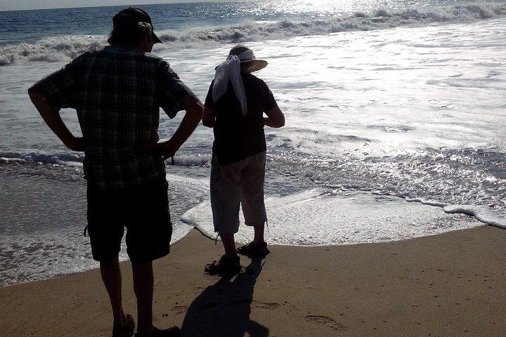 ジャングル コユカ ラグーンのボート体験と子ガメの放流