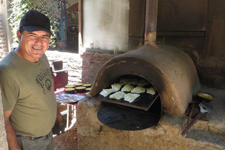 Tour privato: Ande con degustazione di vini di Santiago