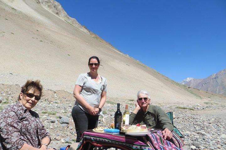Tour privato: Ande con degustazione di vini di Santiago