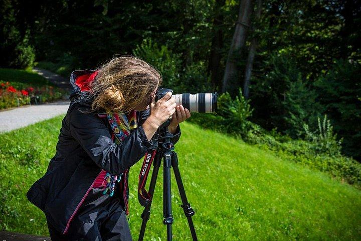 Essential Lucerne Photography Tour