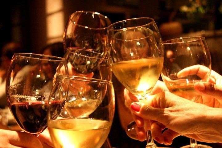 Privater Plattensee-Erlebnis mit einer unvergesslichen Weinprobe