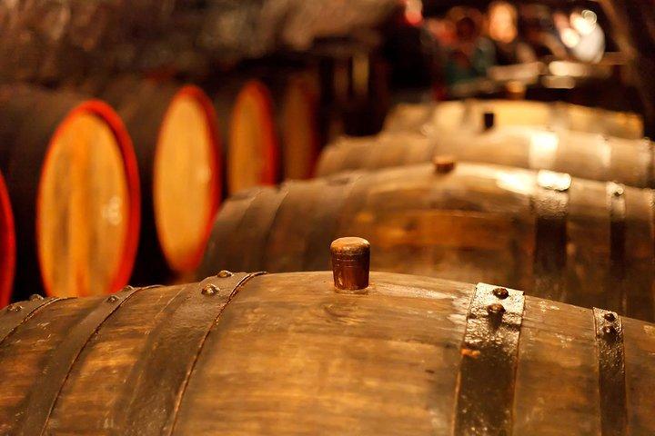 Privater Plattensee-Erlebnis mit einer unvergesslichen Weinprobe