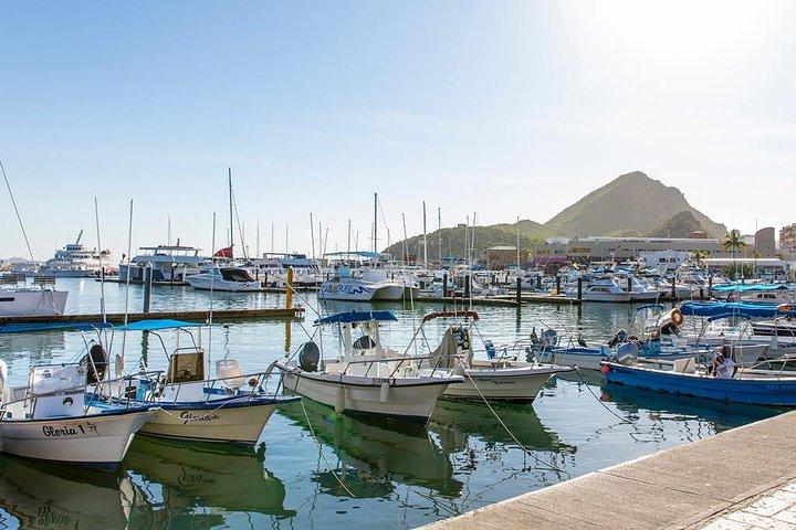 Land’s End Experience: Arch, Beaches and Marine Life