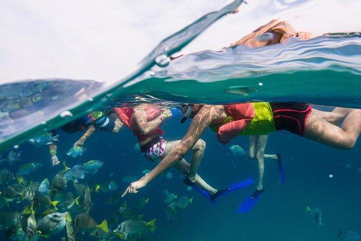 カボ・サンルーカスでのシュノーケルツアーとグラスボトムボート