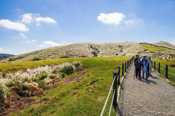 5-Hour Vegetarian Private Tour - Bezoek Yangmingshan en Taste Veggie Cuisine