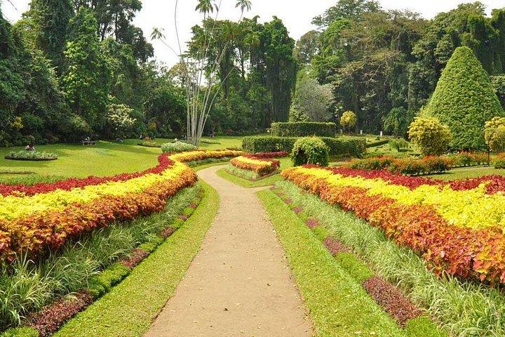 Kandy City Tour med Mahaweli