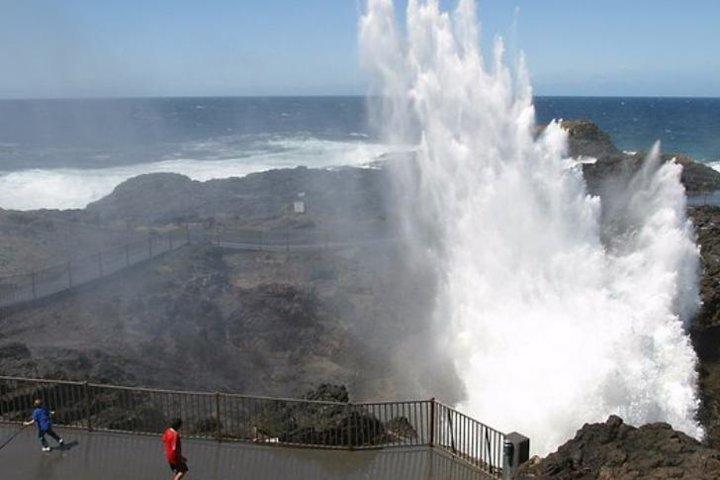 Wildlife, Wine & Waves – Episches Südküstenabenteuer ab Sydney
