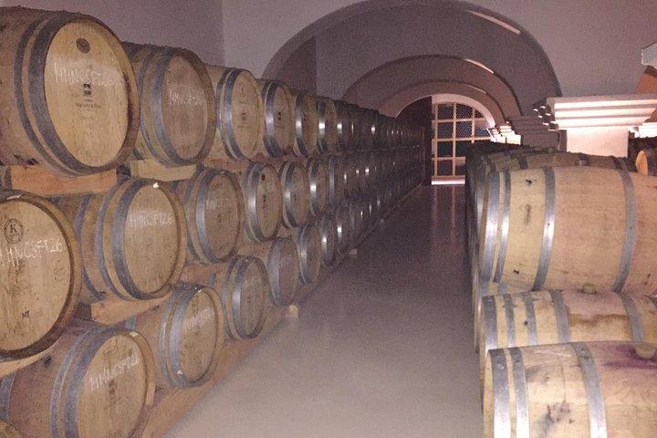 Private Day Trip to Evora from Lisbon with wine tasting