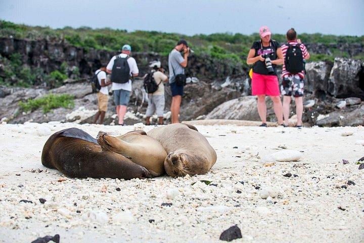6 dage Galapagos Complete Island Hopping
