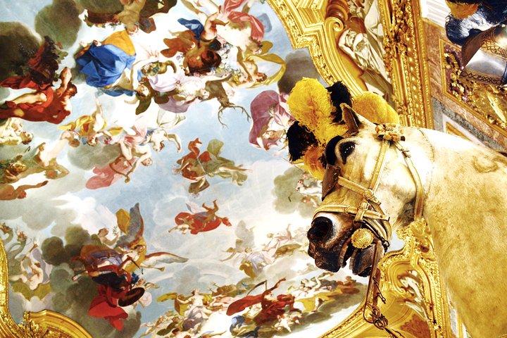 Private Turiner Königspalasttour mit Grabtuchkapelle