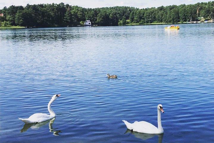 Desde Vilnius: tour privado a Trakai