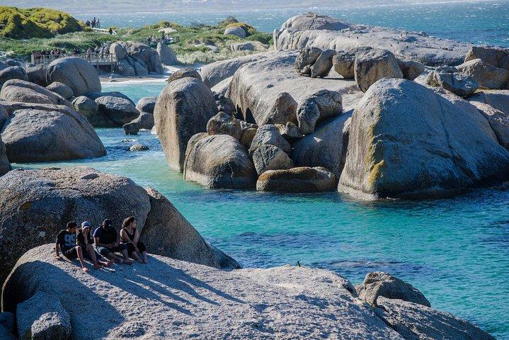 半日午前または午後ボルダーズビーチ＆ペンギン、ケープポイントグレートツアー