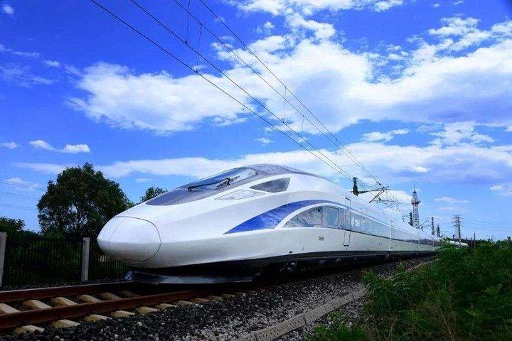 新幹線による南京からの柔軟な上海プライベート日帰りツアー