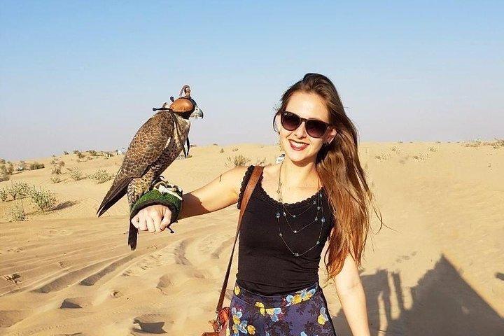 Desert Safari Dubai pickup & Drop off por Land Cruiser