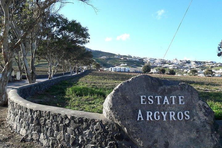 Santorini Erster Besuch Private Tour mit Weinprobe