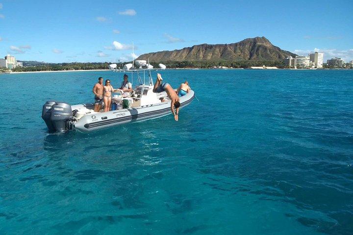 Privat snorkling og dyreliv på eventyrbåden