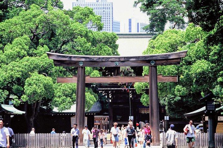 1 - Visite d'une journée en bus à Tokyo