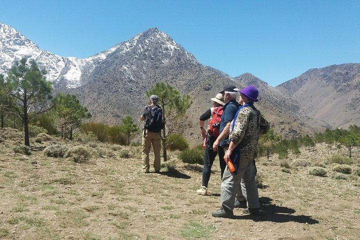 Atlas Mountains, waterfalls and Berber Villages with a guide