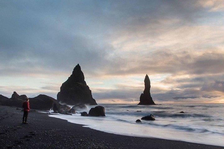 South Coast Highlights & DC - Tour di 3 relitti aerei per piccoli gruppi
