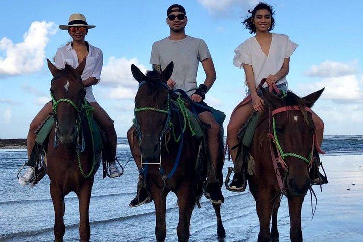 Sunset beach horsebackriding Punta Cana