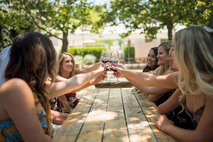 Visite privée du vin de Santa Ynez (tout compris)