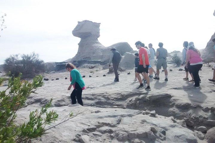 Ischigualasto nationalpark - Moon Valley