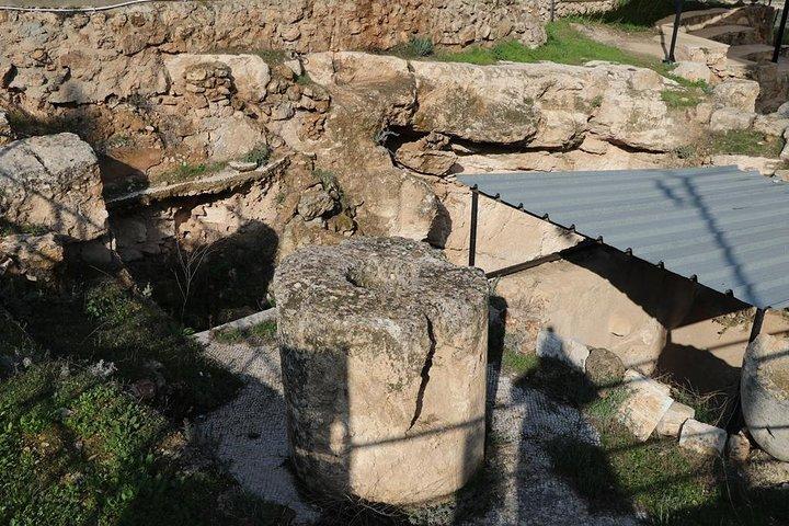 West Bank Tour from Bethlehem - Bethlehem & Jericho Group Tour