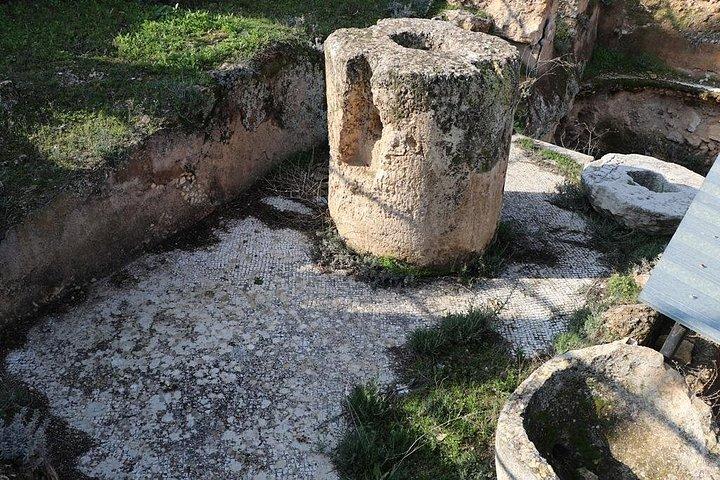 West Bank Tour fra Betlehem - gruppe tur i Betlehem og Jeriko