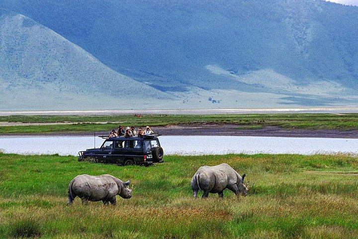 1 dag tiltrådte gruppesafari i Ngorongoro Crater National Park