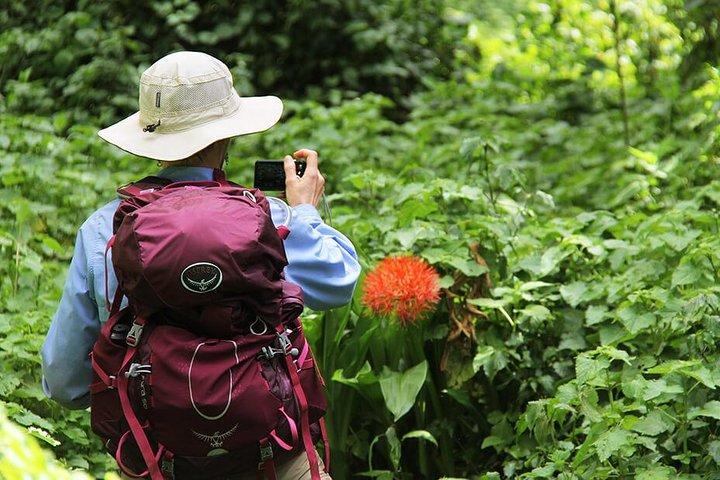 Da Arusha: tour di un giorno del Monte Kilimangiaro