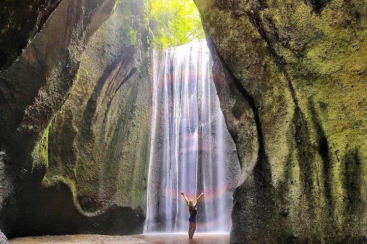 一日ツアーTriangle Bali Hidden Waterfall