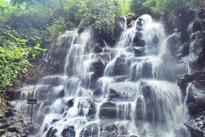 一日ツアーTriangle Bali Hidden Waterfall