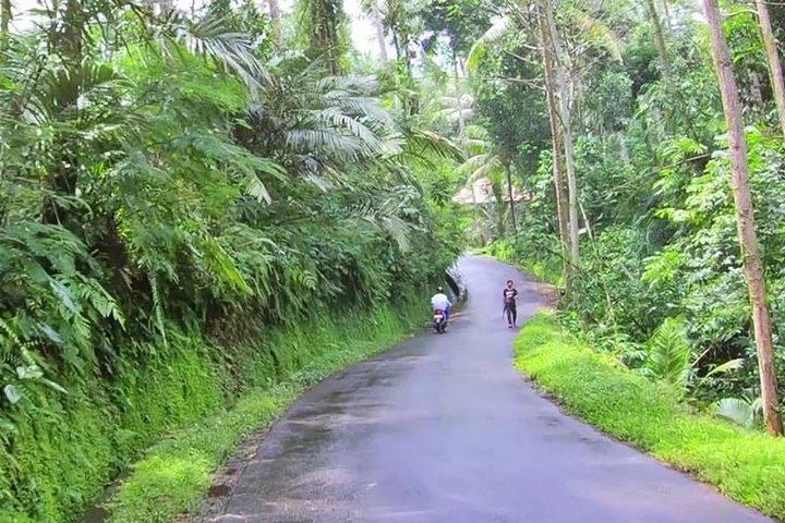 一日ツアーTriangle Bali Hidden Waterfall