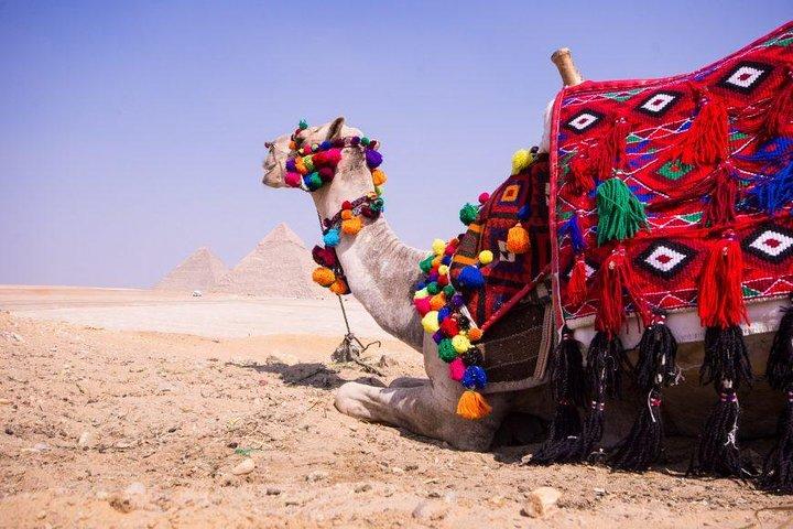 4 Dagen Cairo City Break inbegrepen The Great Pyramids - Egyptian Museum - Saqqara - Maemphis - Old City - Khan El Khalily Bazar en een Dinner Cruise