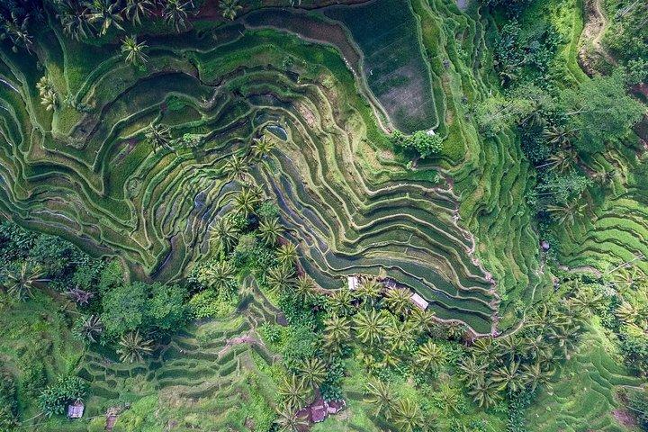 Bali Instagram Most Iconic Spots Private Tour