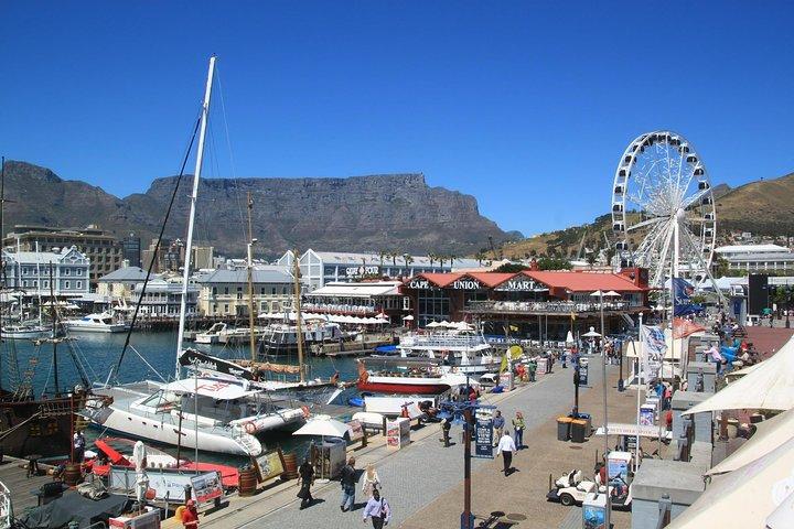 Points forts de Cape Town et joyaux cachés: Visite privée avec un local