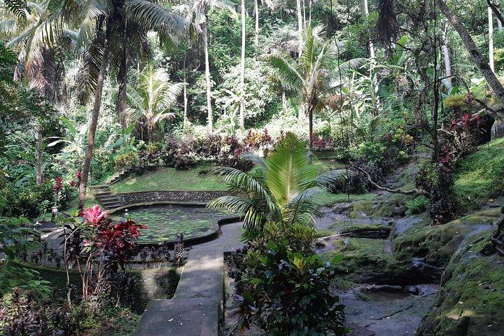 Excursiones a templos antiguos, cascadas y cafetales